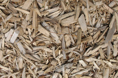 biomass boilers Engollan